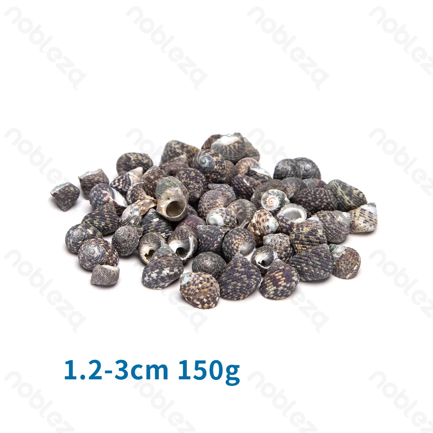 CONCHIGLIE LUMACA(1.2-3CM)