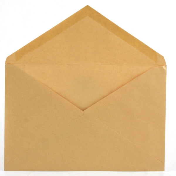 BUSTE PACK/40 120*180MM 80G COD.545