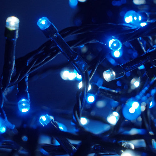 100LED LUCE BIANCO BLU 31V