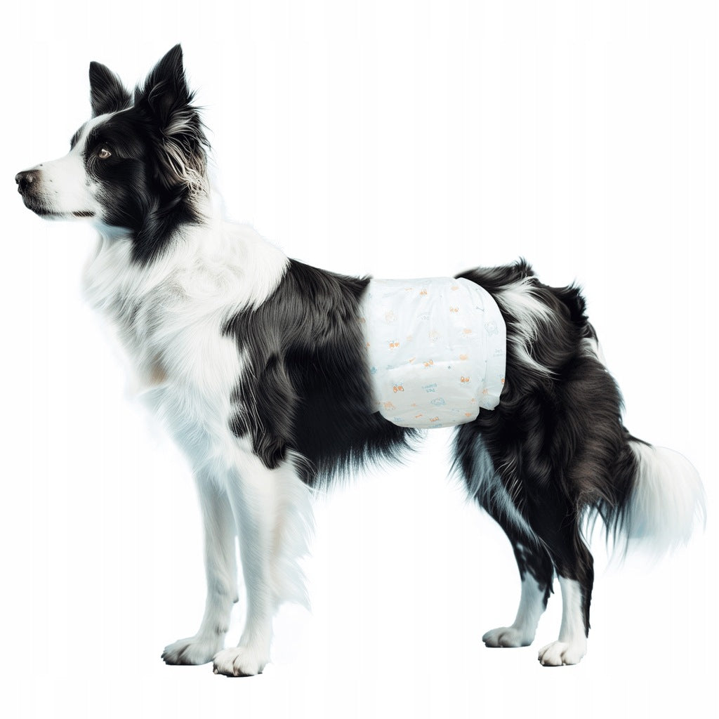 PANNOLINI PER CANI MASCHI 10PZ(LL65*W20CM10 PCSBIANCO)