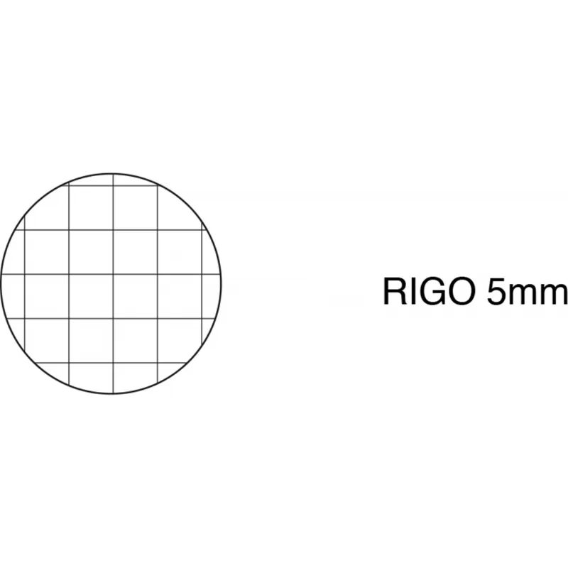 BLOCCHI PIGNASTYL A4 0215628 VAR.5M