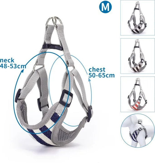 PETTORINA IN MAGLIA(MNECK 48-53*CHEST 50-65CMQUATTRO ASSOR