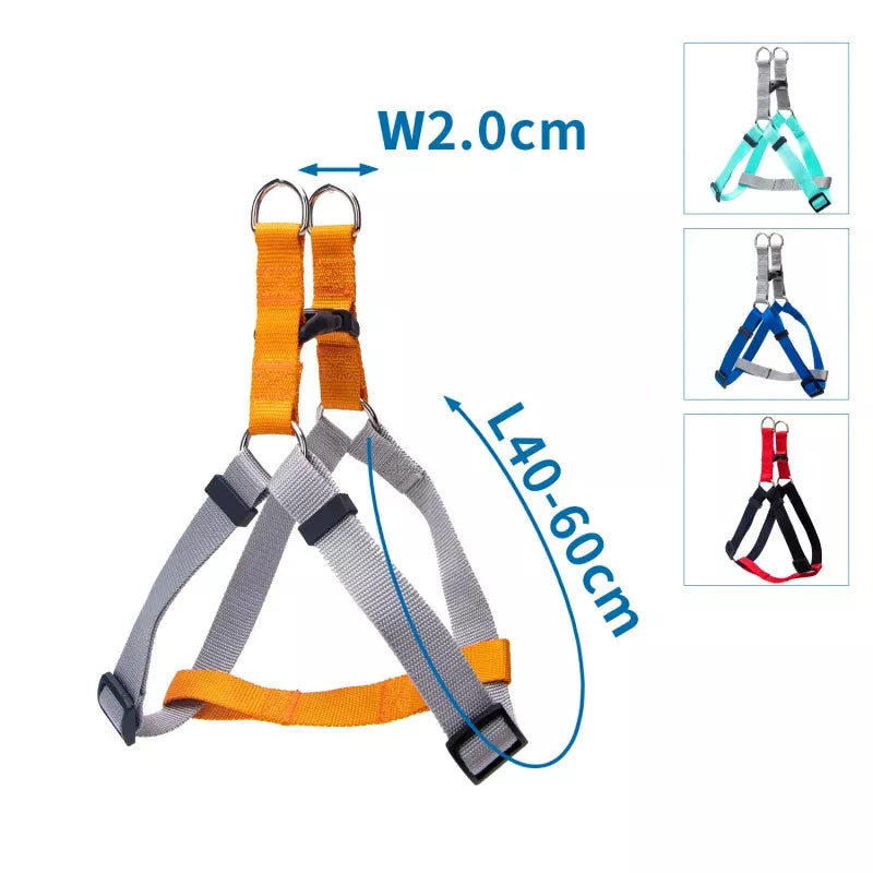 PETTORINA TRIANGOLARE(LW2.0*L40-60CMQUATTRO ASSORTIMENTI D