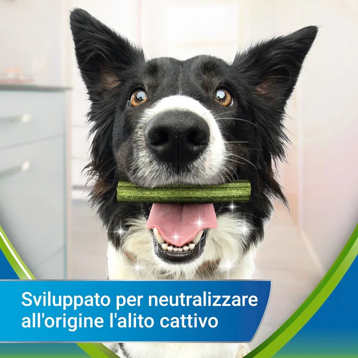 PURINA DENTALIFE ACTIVFR.M CAN