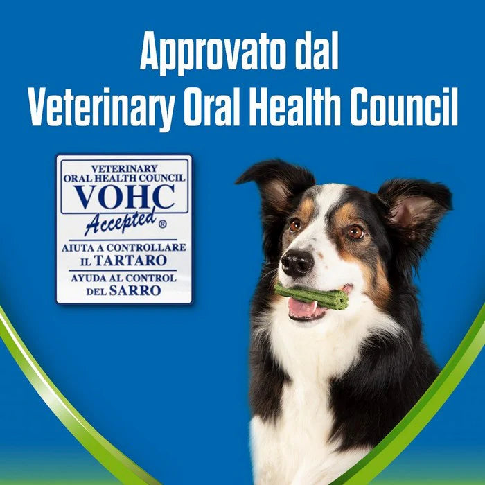 PURINA DENTALIFE ACTIVFR.M CAN