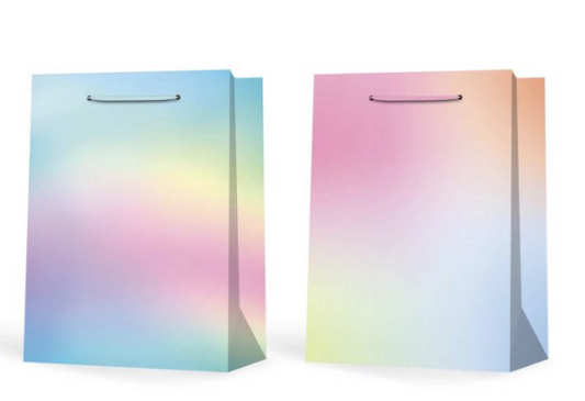 SACCHETTO DA REGALO-COLORATO 31X12X42CM